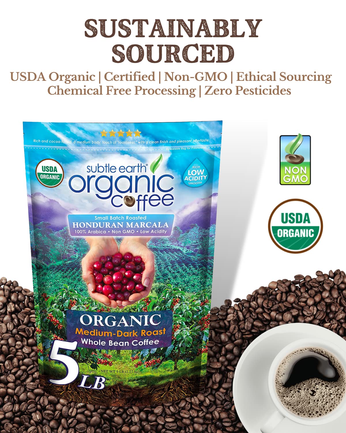Cafe Don Pablo Subtle Earth Organic Coffee 5lb bag with airtight seal, designed for long-lasting freshness.