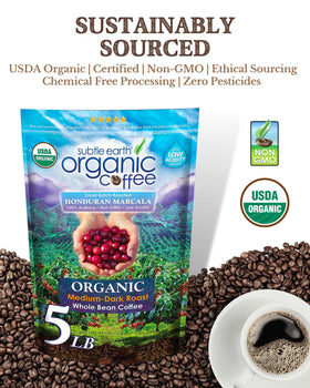 Cafe Don Pablo Subtle Earth Organic Coffee 5lb bag with airtight seal, designed for long-lasting freshness.
