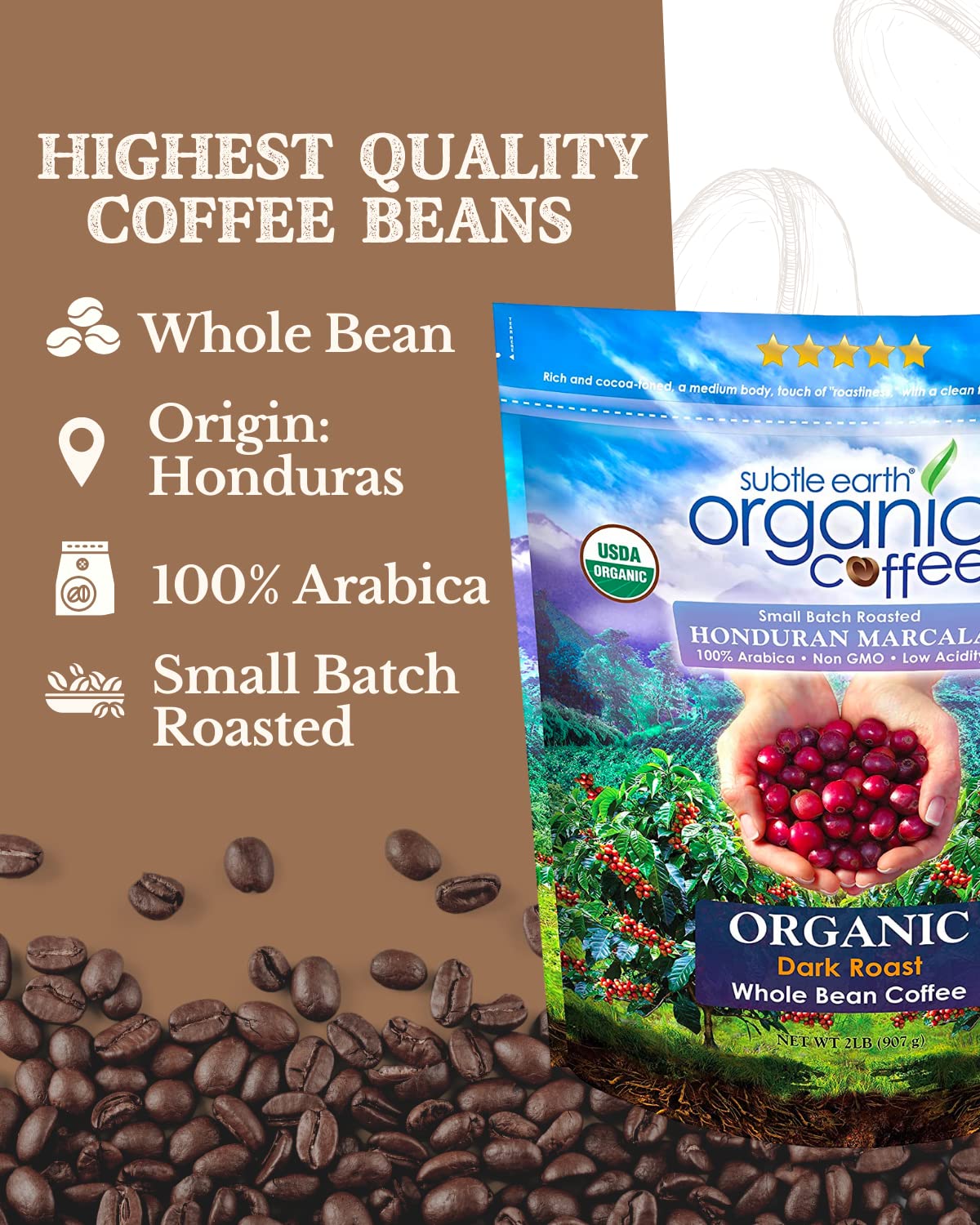 Close-up of Subtle Earth whole beans with dark roast sheen
