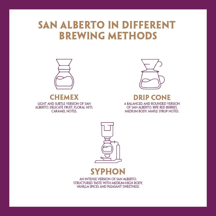 CAFÉ SAN ALBERTO ready-to-brew ground coffee for espresso or drip