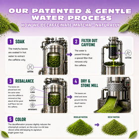 Caff Off first-harvest decaf matcha delivering clean flavor with gentle caffeine balance.