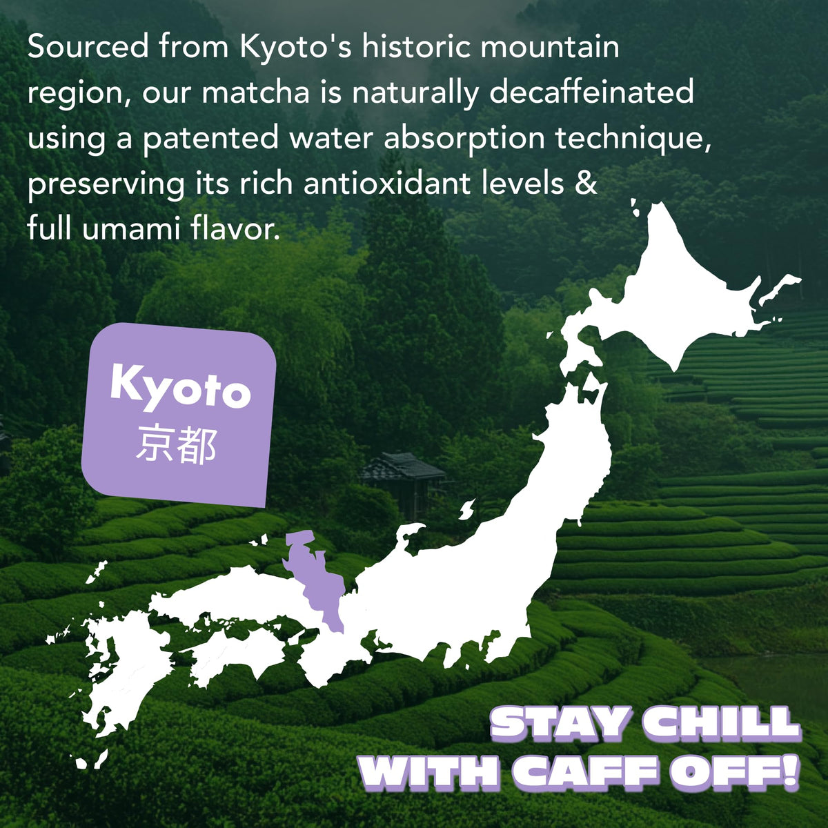 Caff Off matcha powder being sifted emphasizes smooth texture and preparation ease.