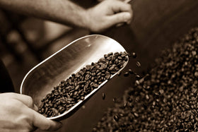 Versatile Taormina brewing options shown with different devices.