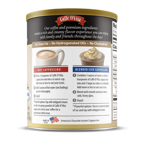 Caffe D'Vita iced mocha cappuccino mix blended into a refreshing drink.