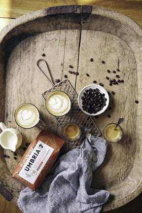 CAFFE UMBRIA Arco Etrusco beans closeup highlights dark roast aromas and fudge-like richness