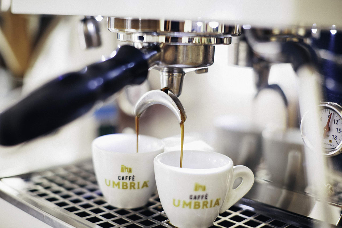 CAFFÈ UMBRIA aromatic roasted beans closeup for home brewing