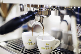 CAFFÈ UMBRIA aromatic roasted beans closeup for home brewing