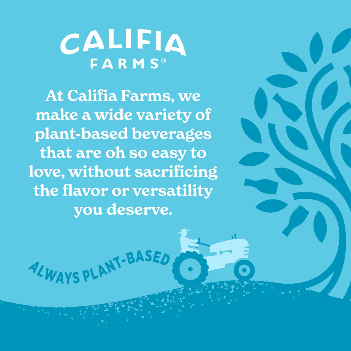 Califia Farms six-pack on kitchen shelf stands ready for daily use.