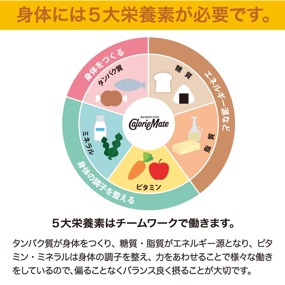 Calorie Mate Chocolate Taste pack back with nutrition and origin details