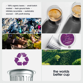 Bold Sumatra profile from Cambio Roasters with tropical fruit and baking spice notes