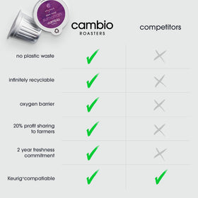 Cambio Roasters Flavor Ridges closeup showing enhanced water flow