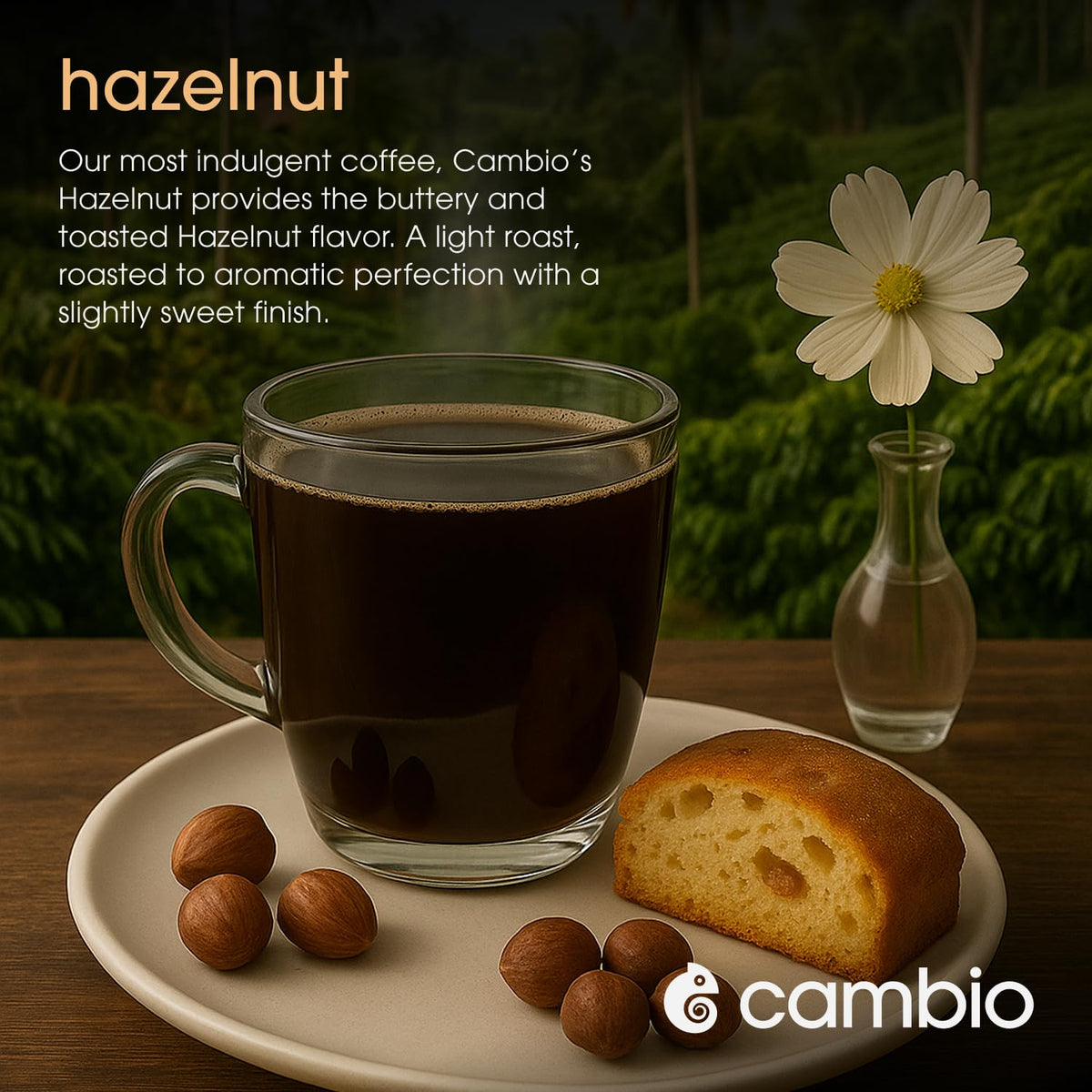 Cambio Roasters Hazelnut Light Roast brew image demonstrates rich aroma and a smooth, nutty cup