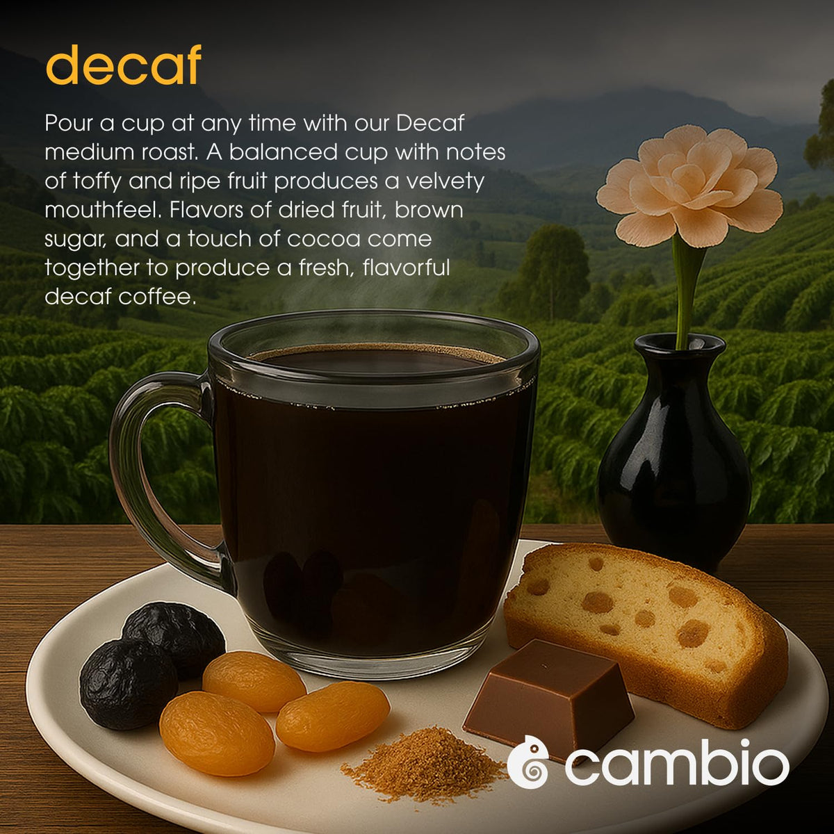 Cambio Roasters Keurig-compatible pod for easy, quick brewing.
