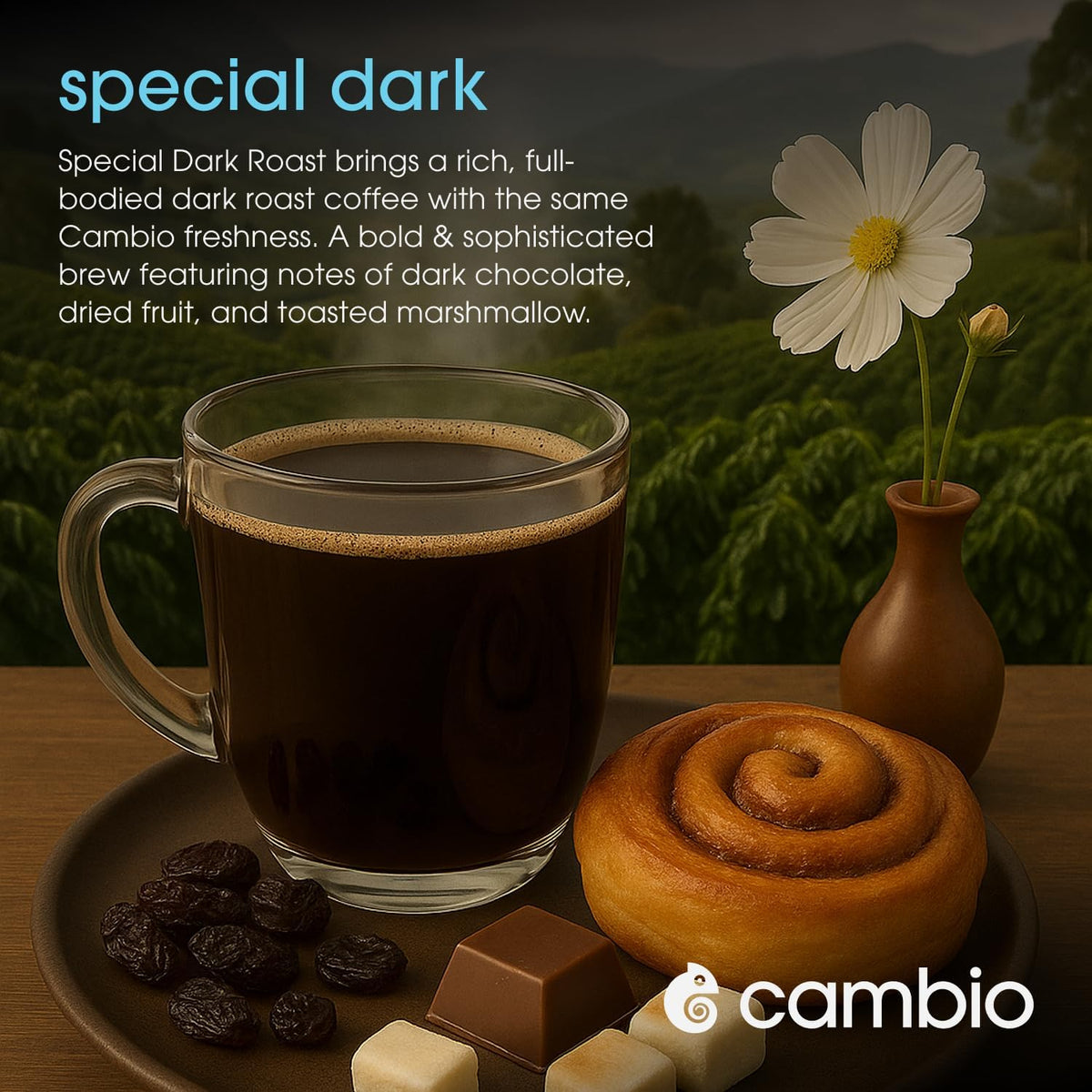 Cambio Roasters recyclable pods Keurig compatible for a waste mindful purchase
