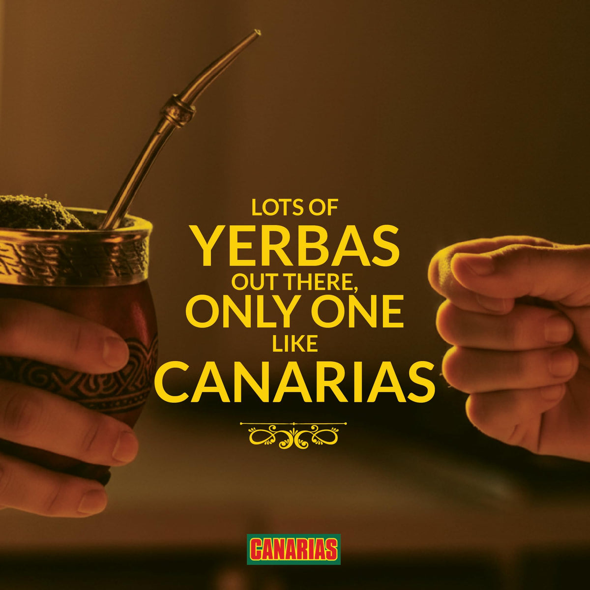 Canarias mate session setup demonstrates easy home brewing