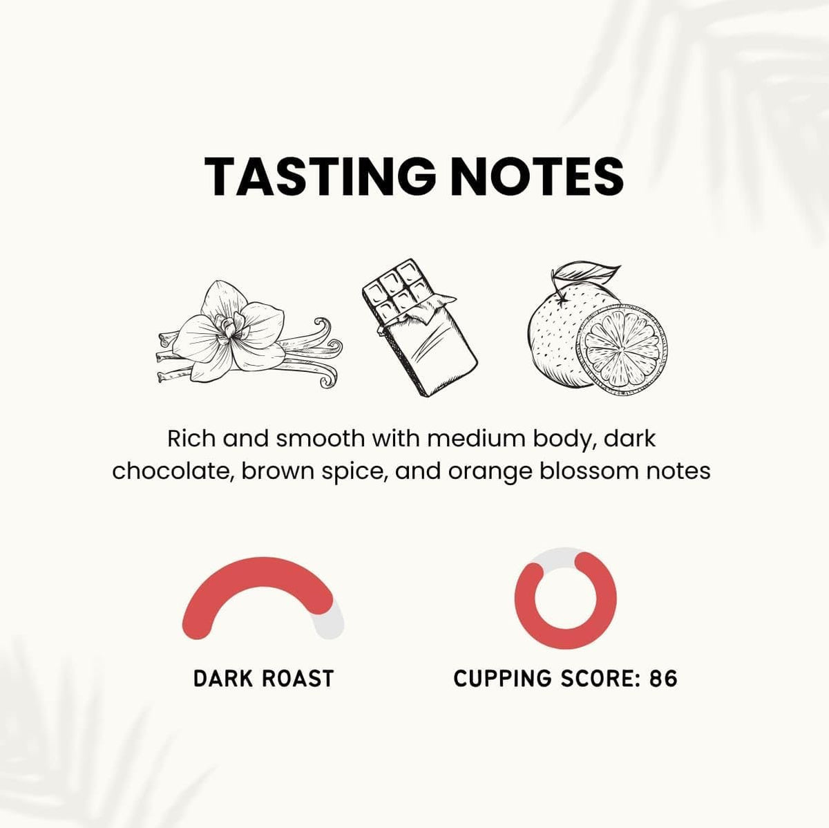 Canopy Point Coffee Honduras Dark Roast cupping notes close-up, highlighting chocolatey and brown spice hints