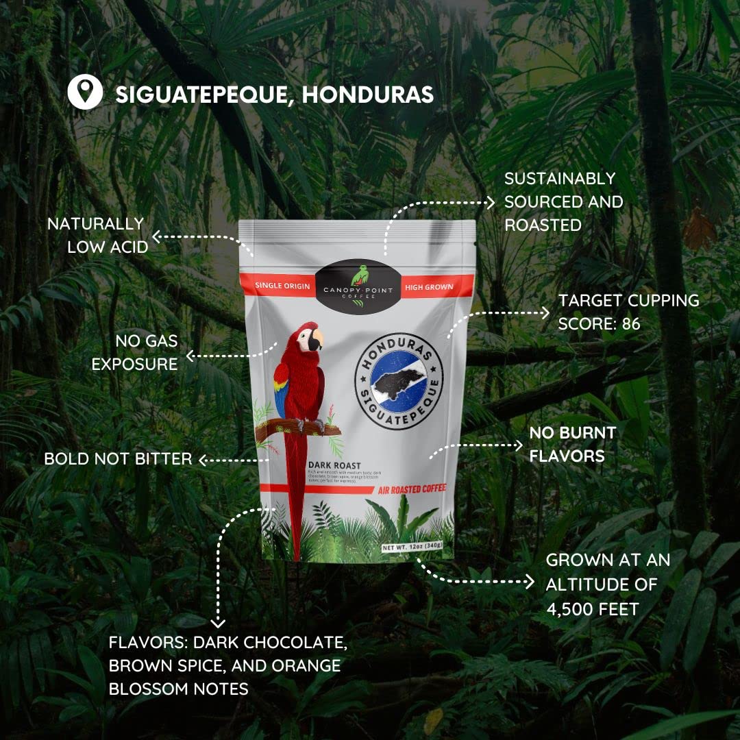 Canopy Point Coffee Honduras Dark Roast moka pot brewing, delivering low acidity and bold flavor