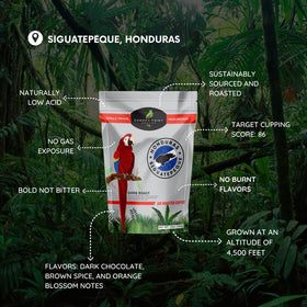 Canopy Point Coffee Honduras Dark Roast moka pot brewing, delivering low acidity and bold flavor