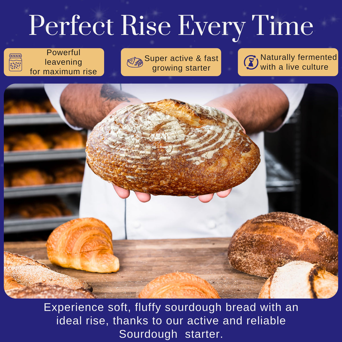 Captain Sourpants starter revival guide illustrates quick reactivation for fresh dough.
