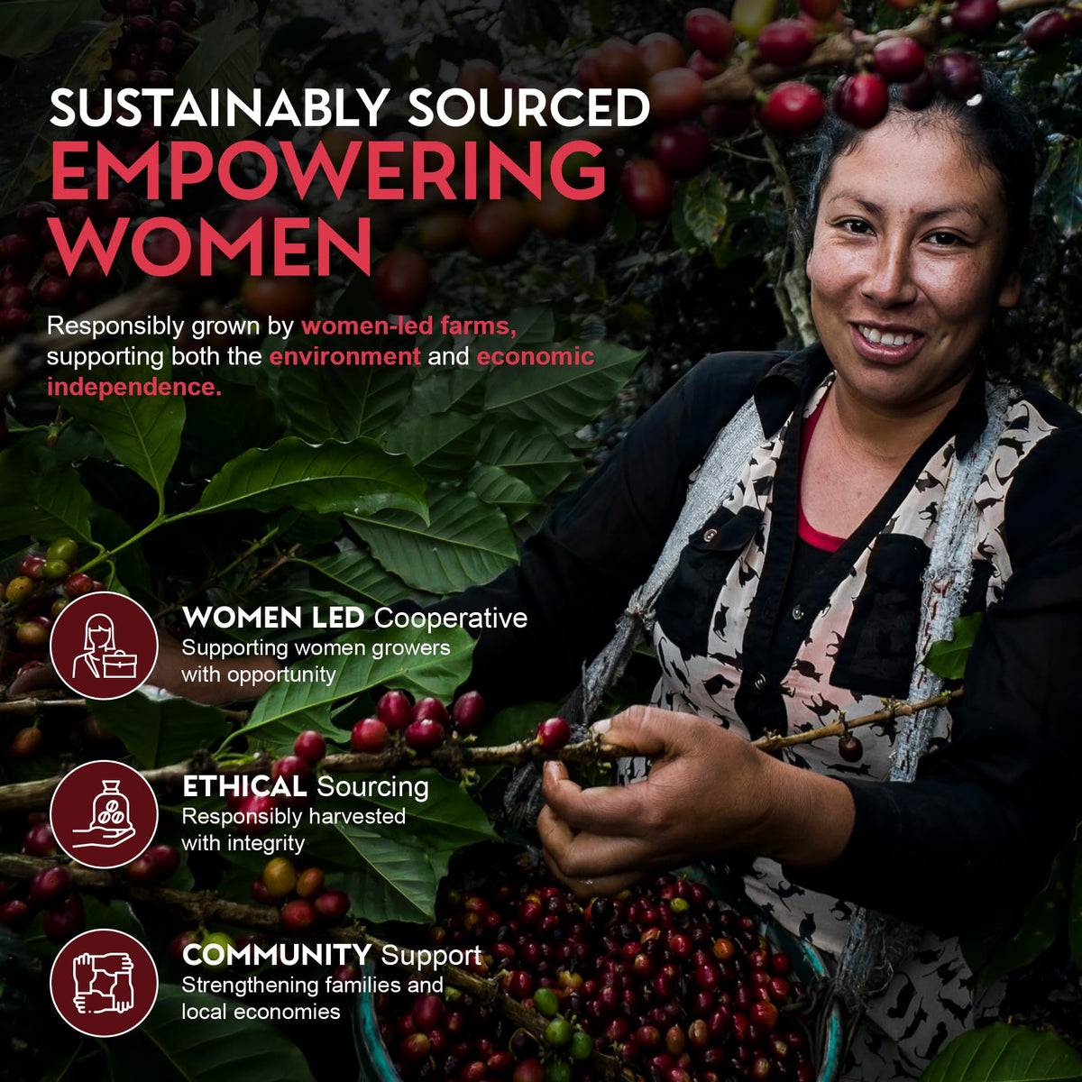 Cardiology Coffee ethical sourcing supports fair wages and communities