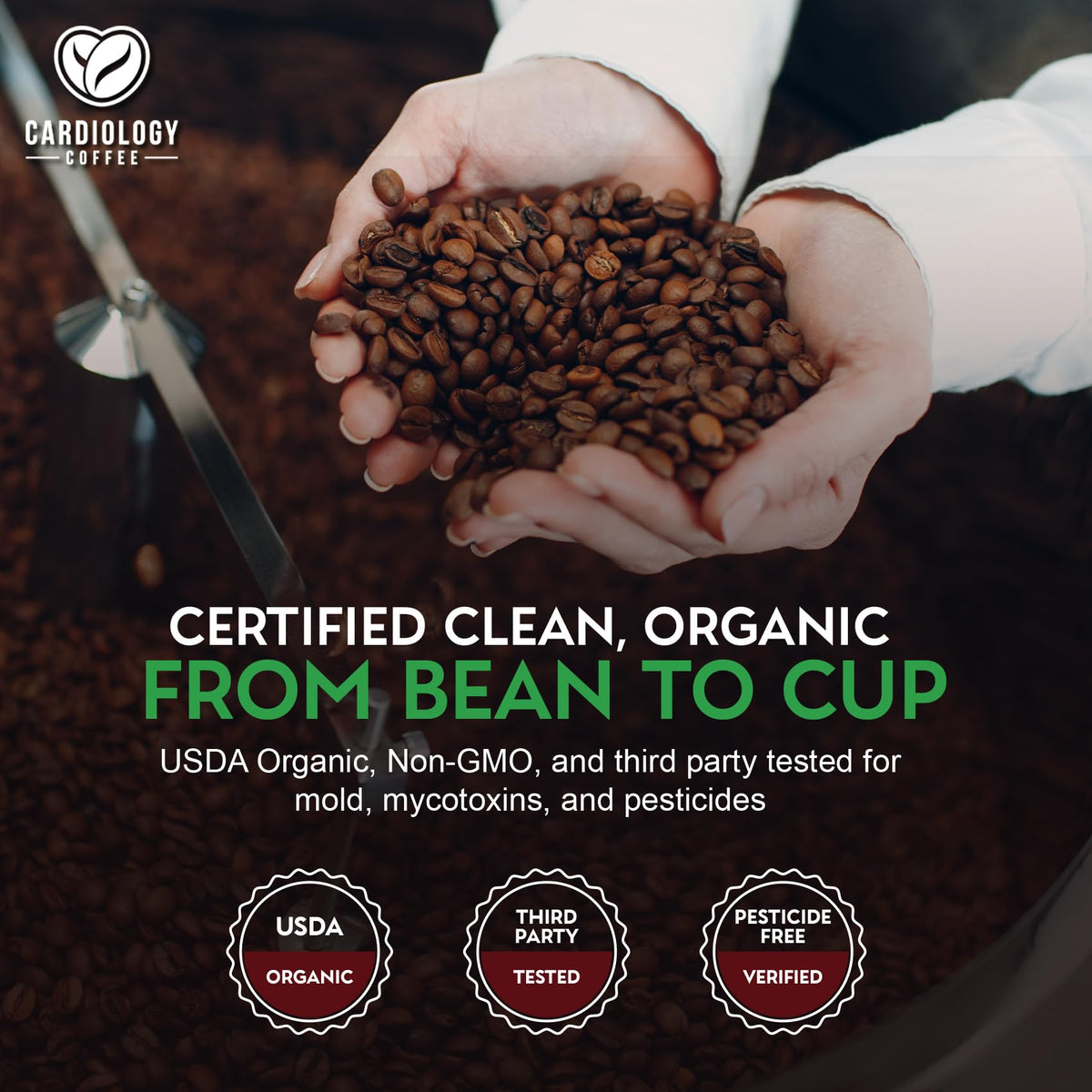 Cardiology Coffee organic farm Honduras showing sustainable Honduran beans