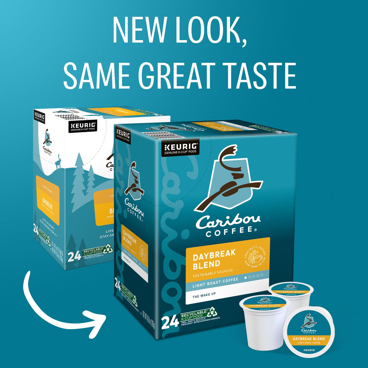 Caribou Coffee Daybreak Morning Blend fresh-ground beans close-up highlighting citrus and floral notes.