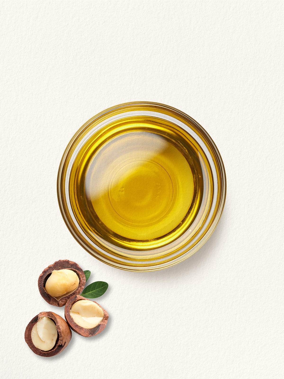 Label highlights Carlyle Macadamia Nut Oil ingredients and quality
