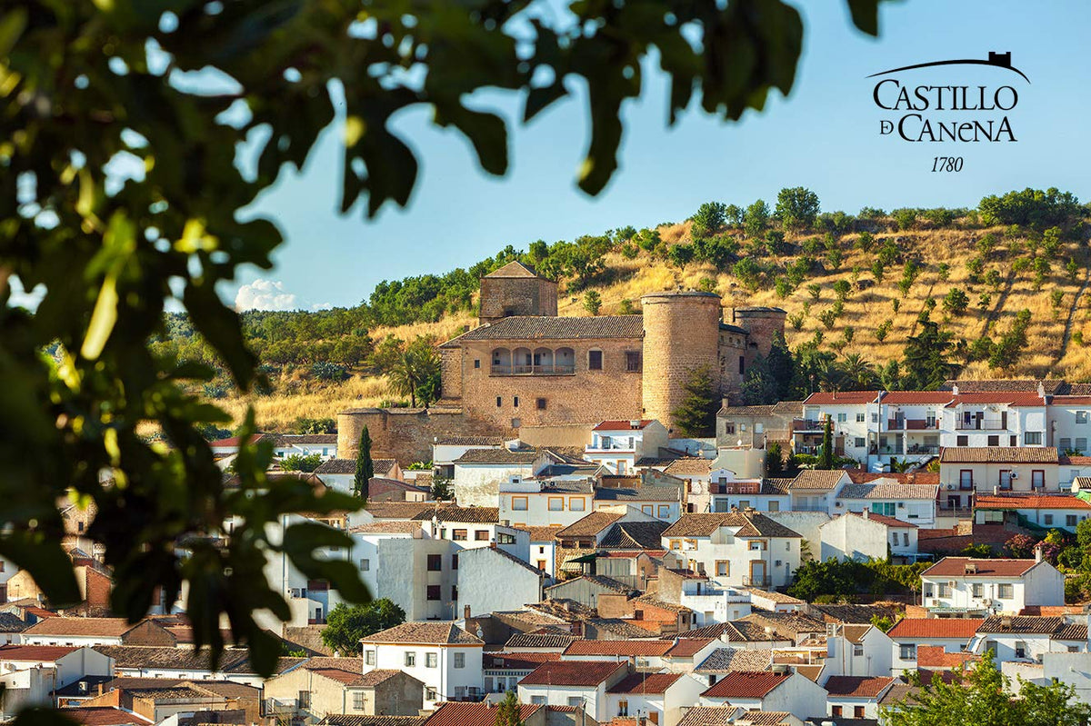 Packaging and label detail of Castillo de Canena Picual olive oil communicates premium quality.