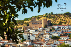 Packaging and label detail of Castillo de Canena Picual olive oil communicates premium quality.