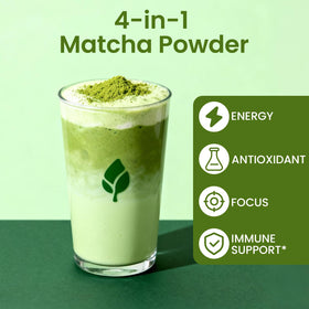 Catfit Moringa Ingredients Closeup highlights nutrient-dense botanicals in the mix.