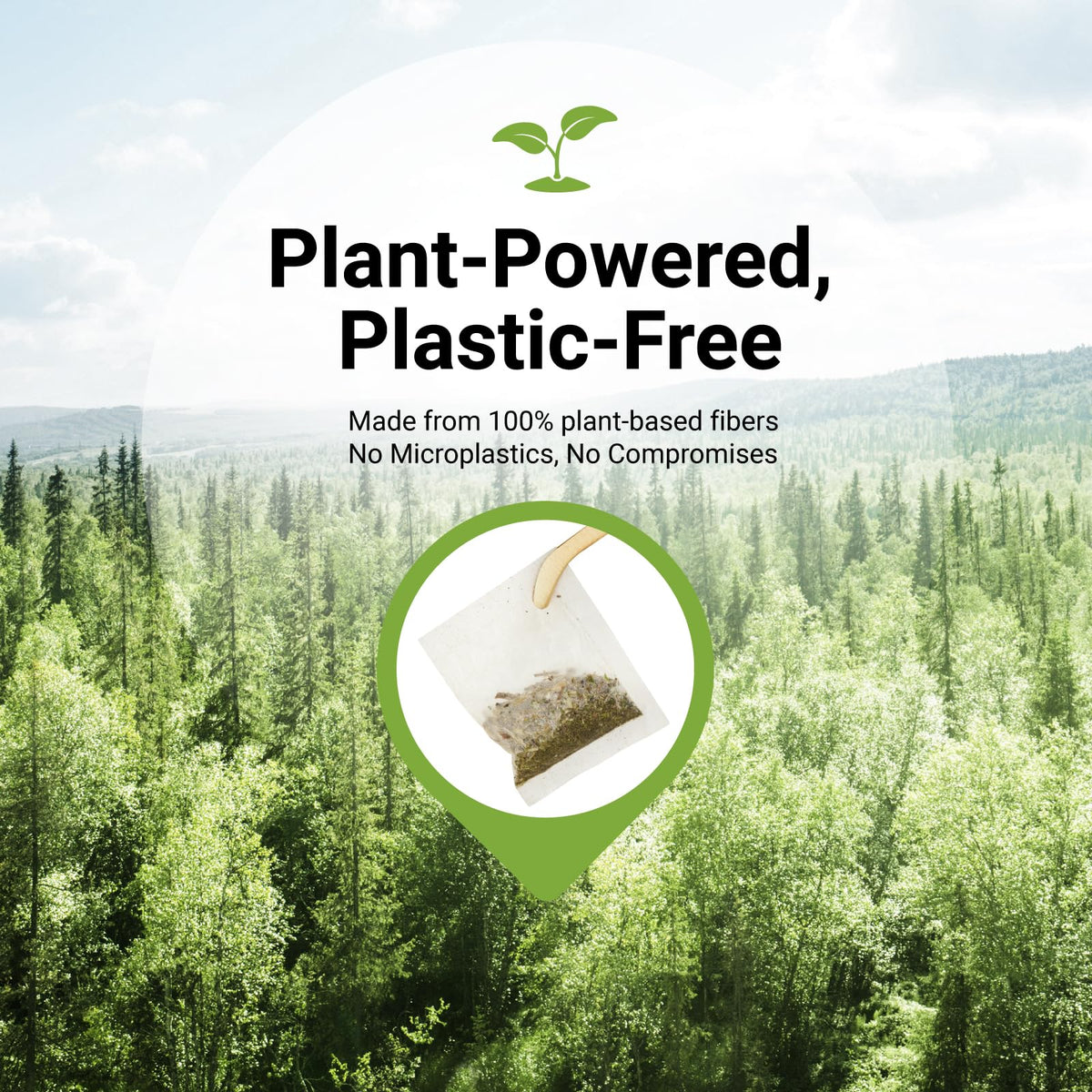CCnature steeped mullein tea in a warm cup reveals earthy notes.
