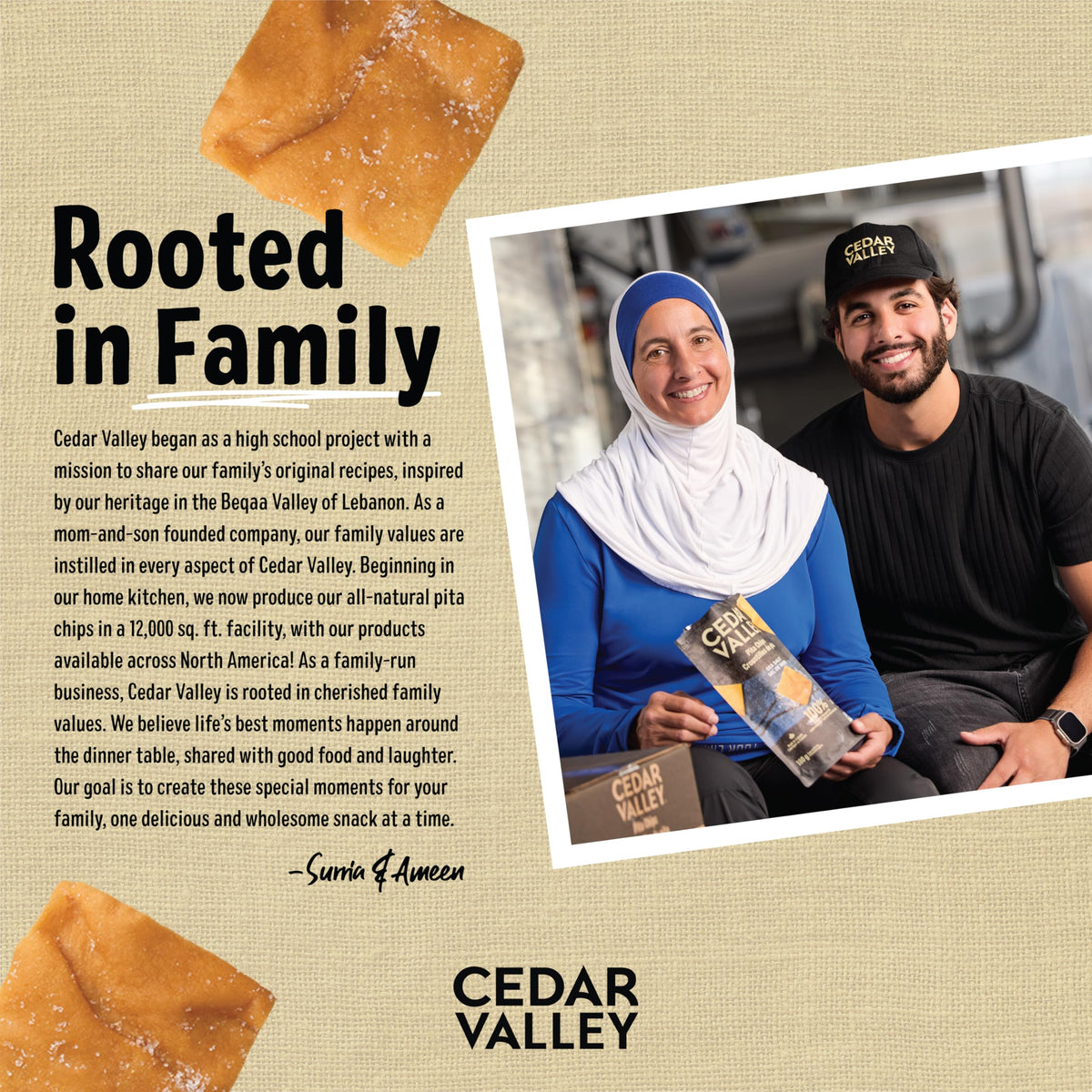 Cedar Valley Pita Chips Sea Salt lunchbox snack ready for on-the-go eating.