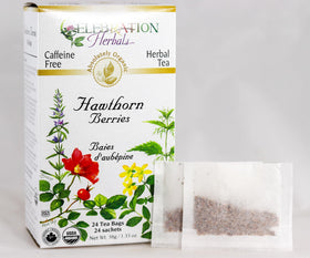 Stovetop steeping Celebration Herbals Hawthorn Berries Tea Bags in a cup.