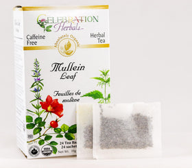 Celebration Herbals organic mullein leaf tea bags, ready to brew a soothing cup.