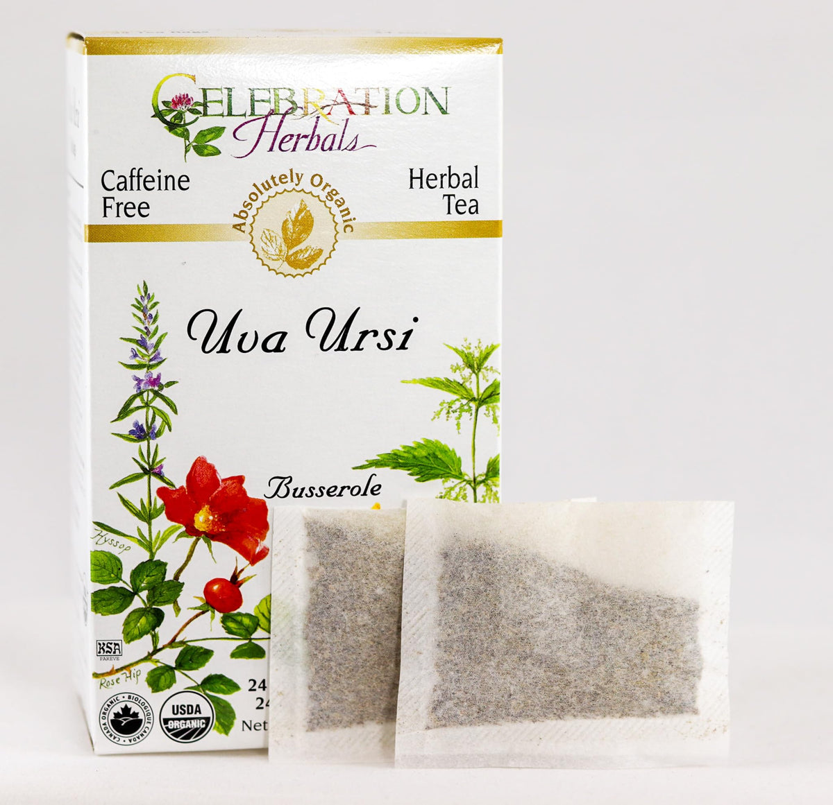 Organic Uva Ursi tea bags by Celebration Herbals for a pure, flavorful cup