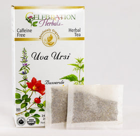 Organic Uva Ursi tea bags by Celebration Herbals for a pure, flavorful cup