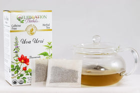 Brewing Celebration Herbals Uva Ursi tea in a mug releases soothing aromas