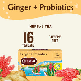 Celestial Seasonings Ginger Probiotics tea bags ready to steep into a cozy, caffeine-free moment.