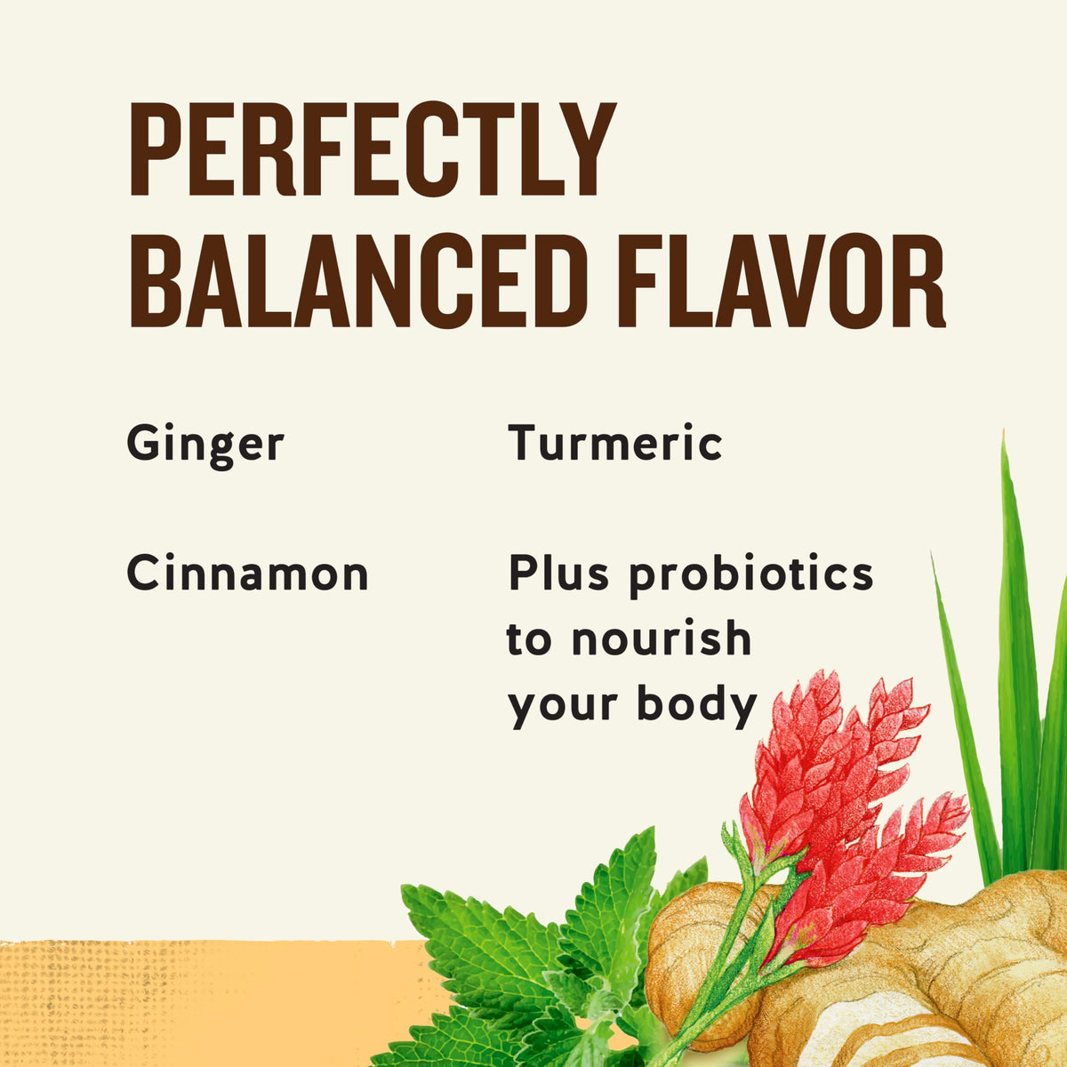 Celestial Seasonings Ginger Probiotics tea brew reveals warm color and inviting aroma.