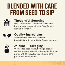 Celestial Seasonings Ginger Probiotics tea cup steam highlighting comforting, digestion-friendly notes.
