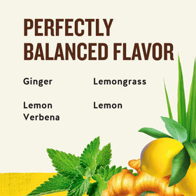 Jammin' Lemon Ginger tea bag brewing for fragrant, caffeine-free relaxation.