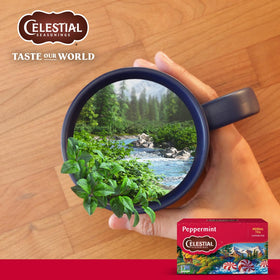 Celestial Seasonings peppermint tea label design illustrating a pure herbal blend.