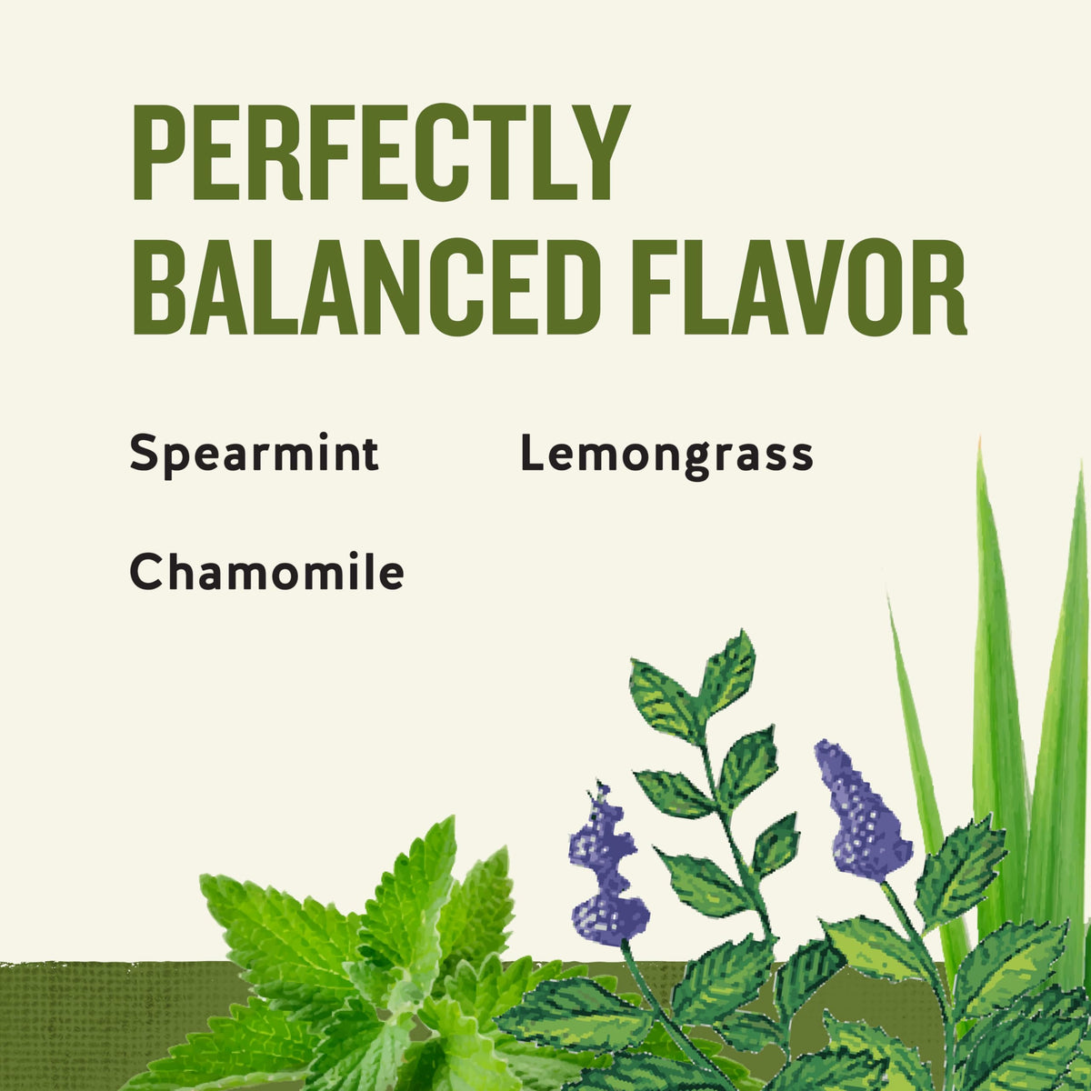 Steeping Sleepytime tea releases soothing aroma beside a bedside lamp.