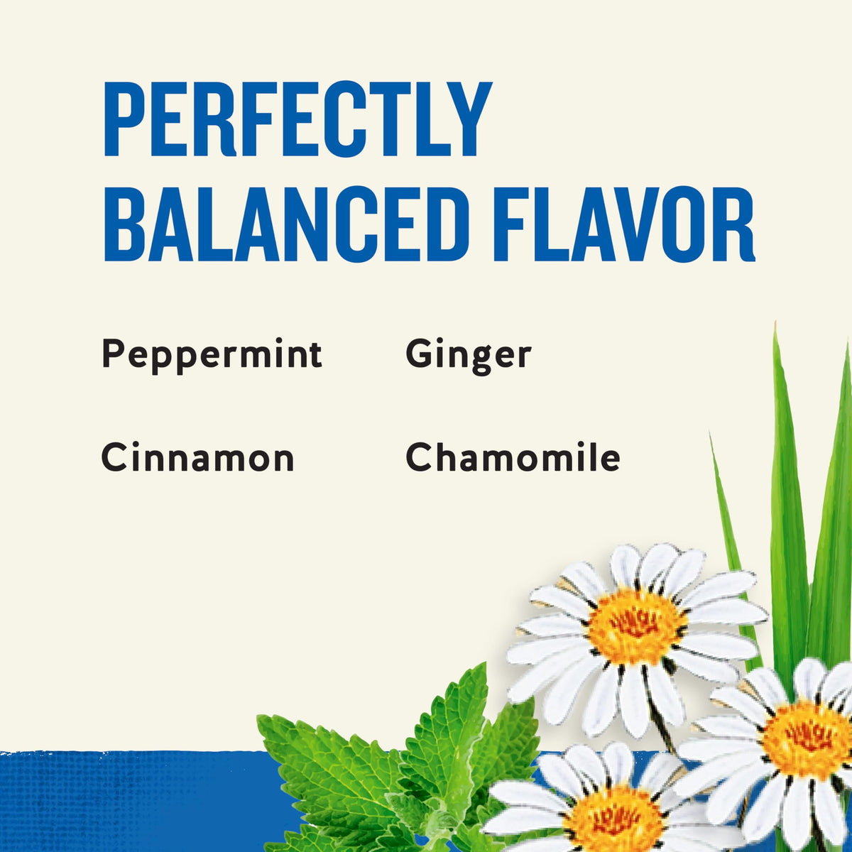 Closeup of Celestial Seasonings Tension Tamer tea bags with peppermint and ginger notes