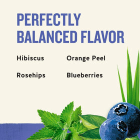 Celestial Seasonings True Blueberry tea bags in box suggest convenient preparation