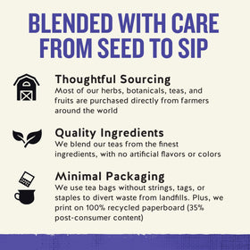 Hot cup of Celestial Seasonings True Blueberry herbal tea.