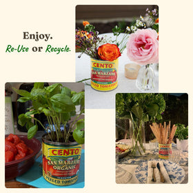 Cento artichoke hearts in brine perfect topping for pizzas and bruschetta.