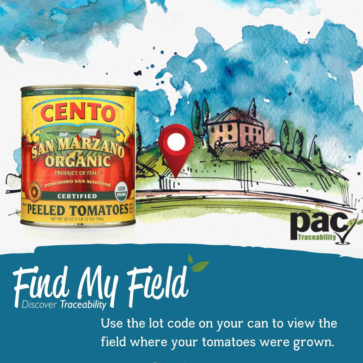 Cento canned tomatoes ready in the kitchen for quick meals