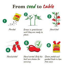 Cento Italian tomatoes provide a robust sauce base.