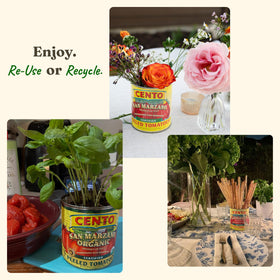 BPA-free can preserves Cento tomato paste quality